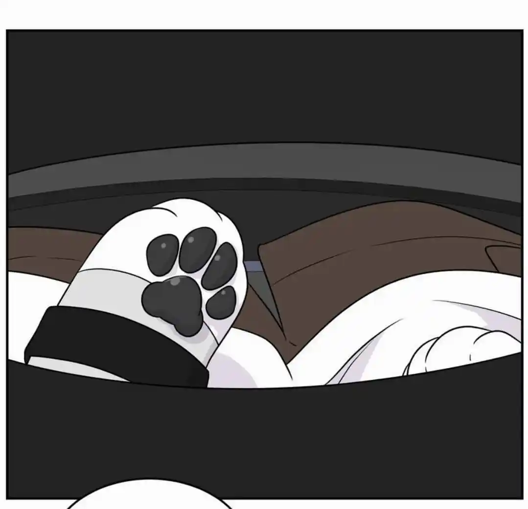 My Food Seems To Be Very Cute Chapter 177