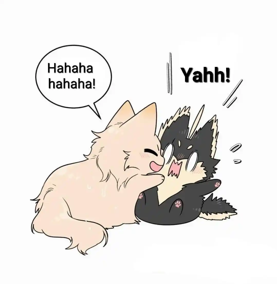 My Food Seems To Be Very Cute Chapter 178