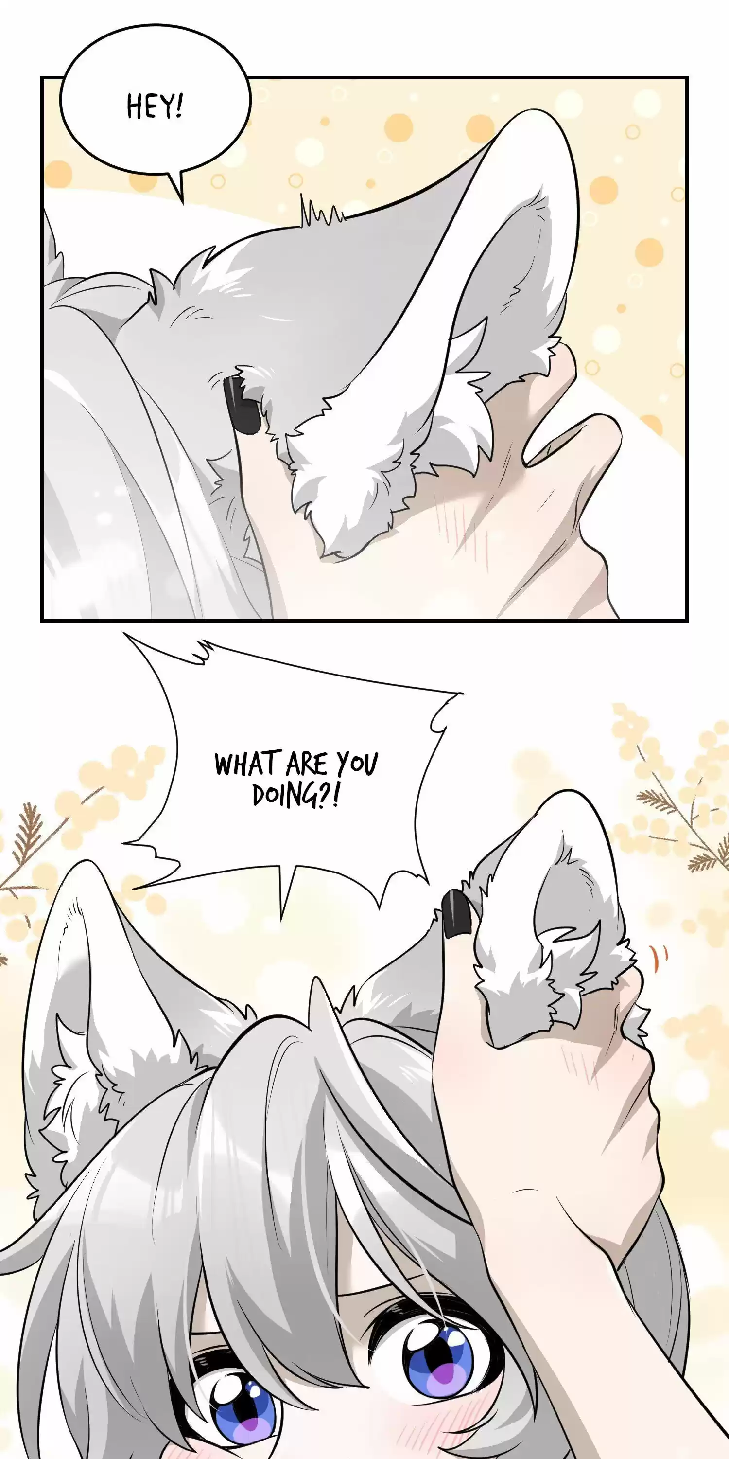 My Food Seems To Be Very Cute Chapter 65