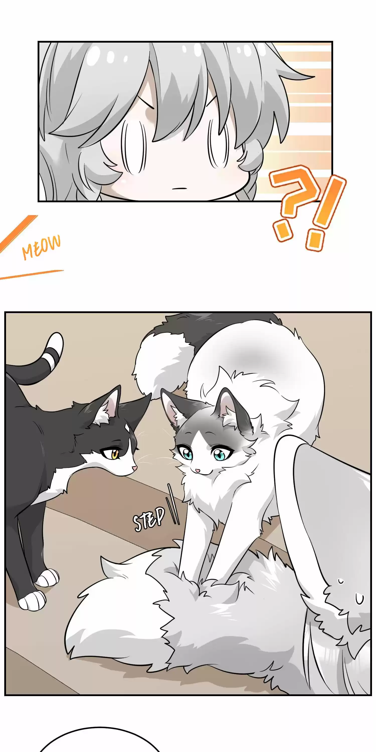 My Food Seems To Be Very Cute Chapter 67