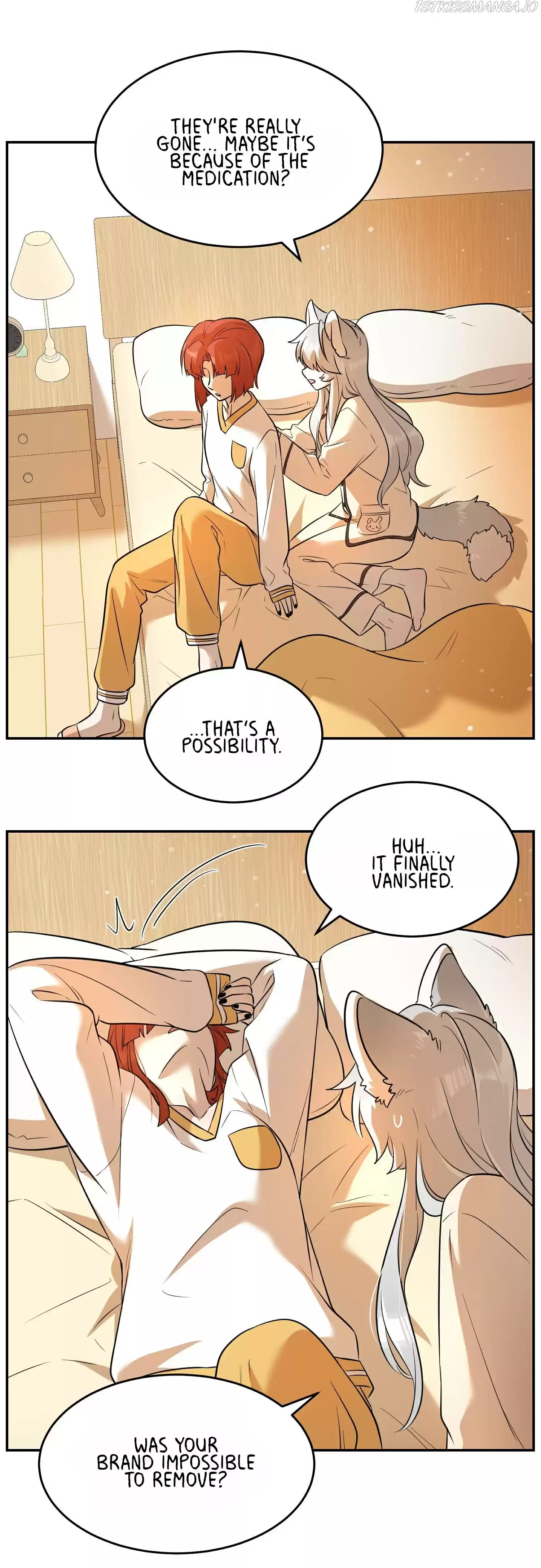 My Food Seems To Be Very Cute Chapter 71