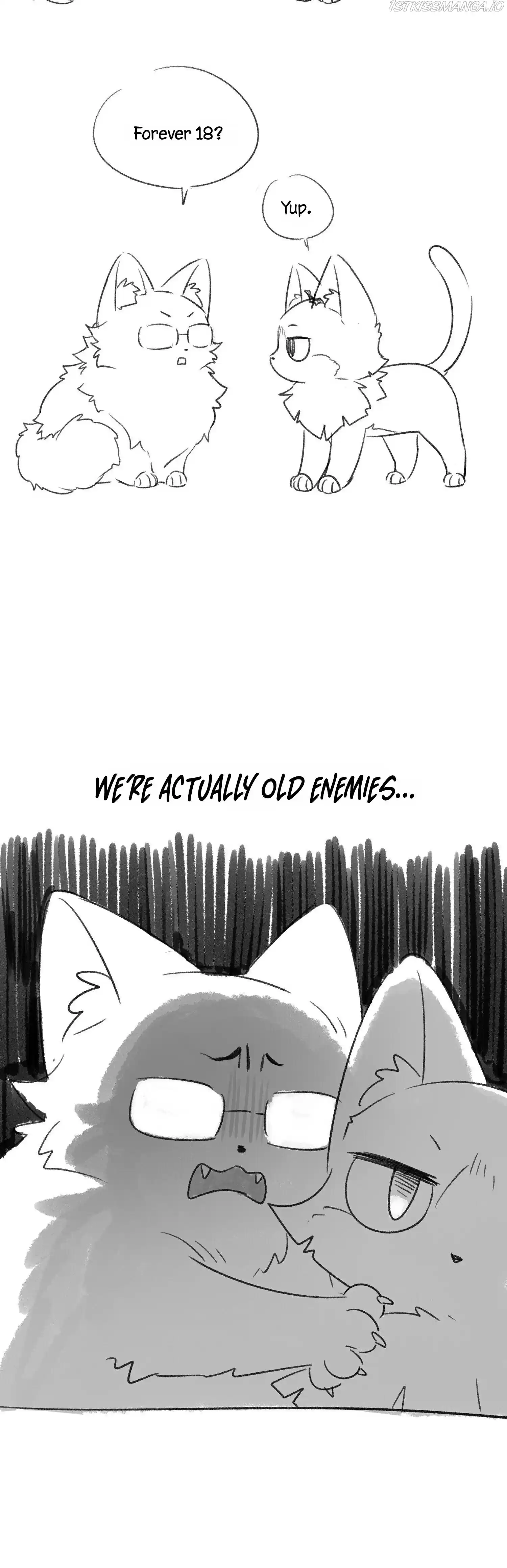 My Food Seems To Be Very Cute Chapter 71