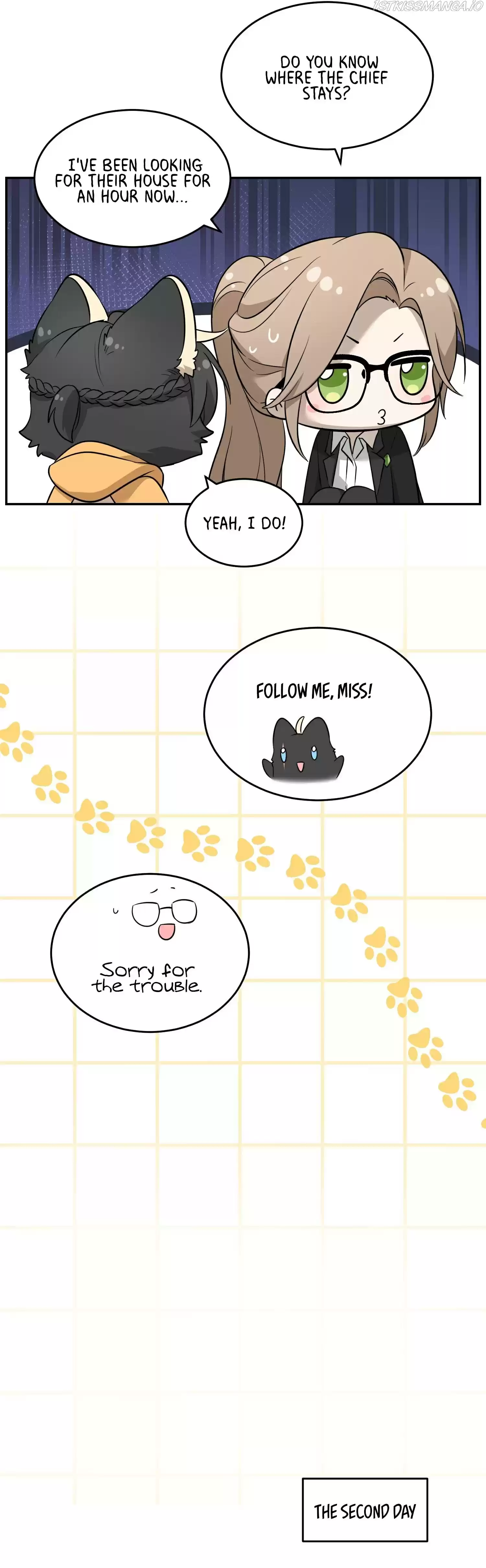 My Food Seems To Be Very Cute Chapter 72