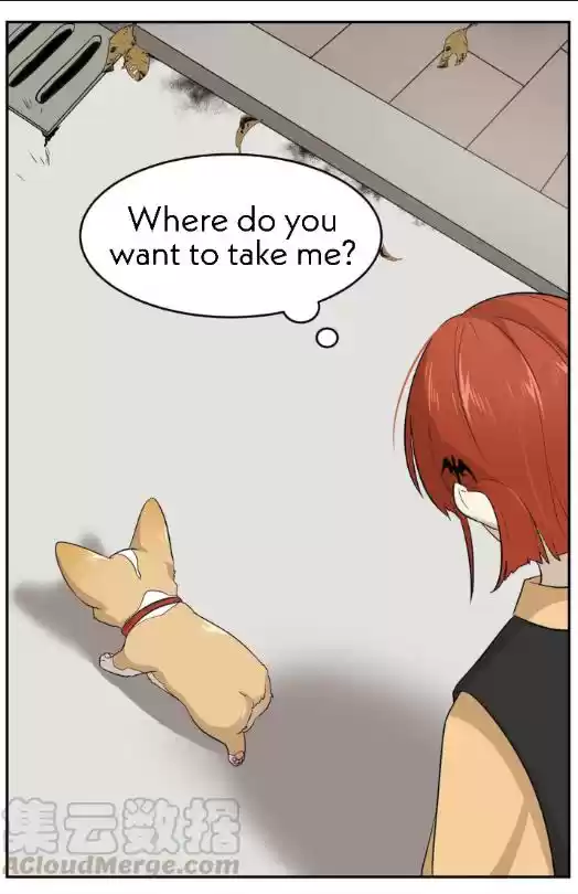 My Food Seems To Be Very Cute Chapter 8