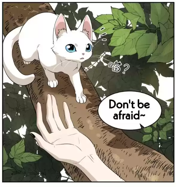 My Food Seems To Be Very Cute Chapter 8