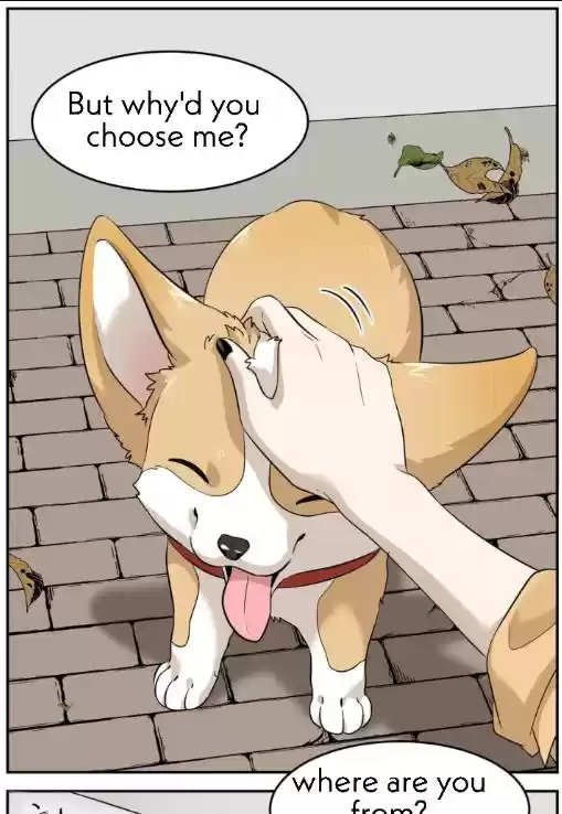 My Food Seems To Be Very Cute Chapter 8