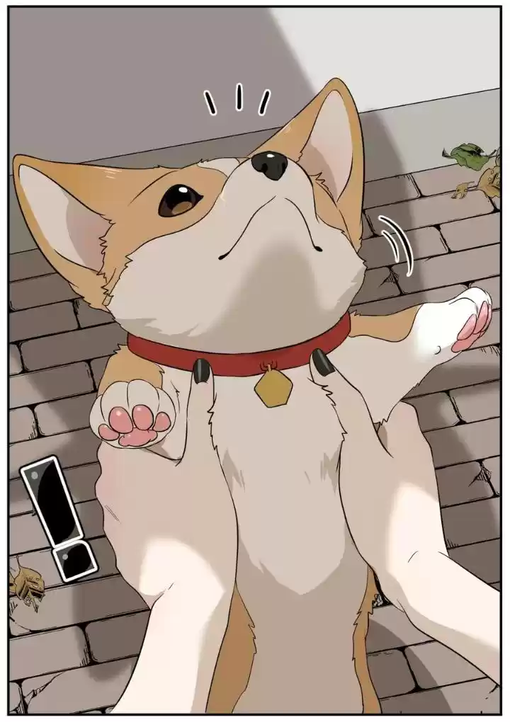 My Food Seems To Be Very Cute Chapter 8