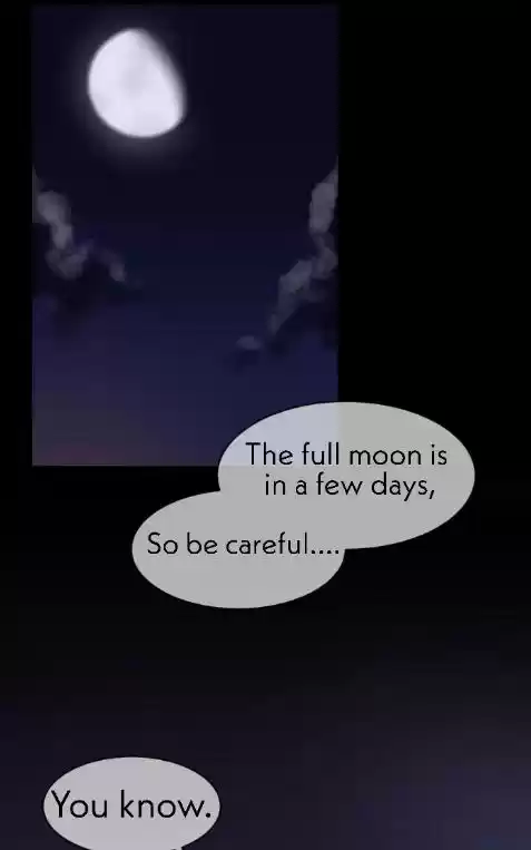 My Food Seems To Be Very Cute Chapter 8