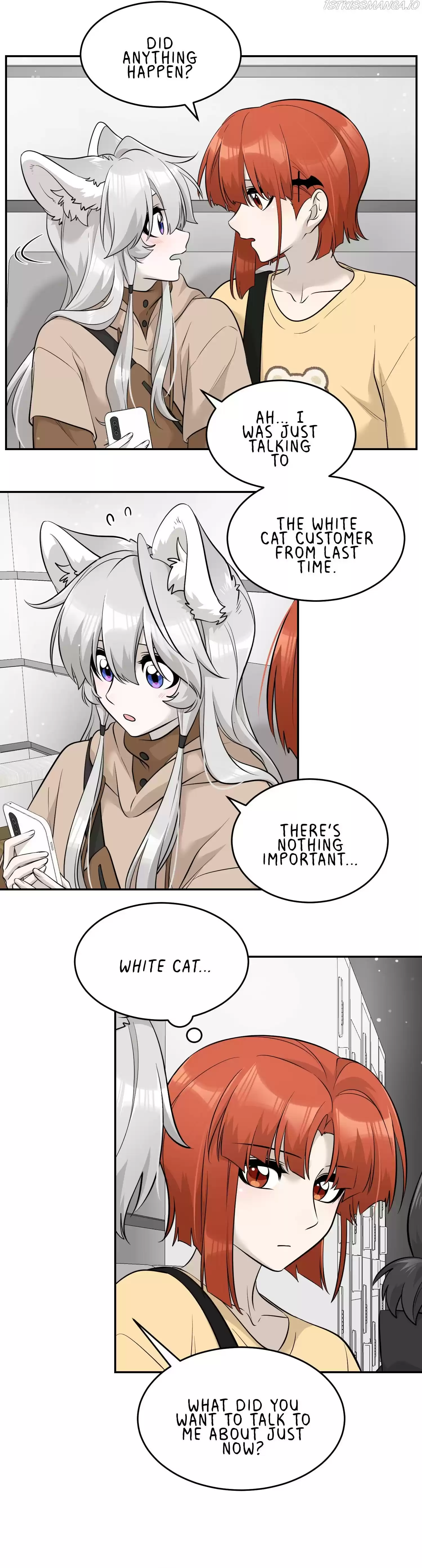 My Food Seems To Be Very Cute Chapter 87