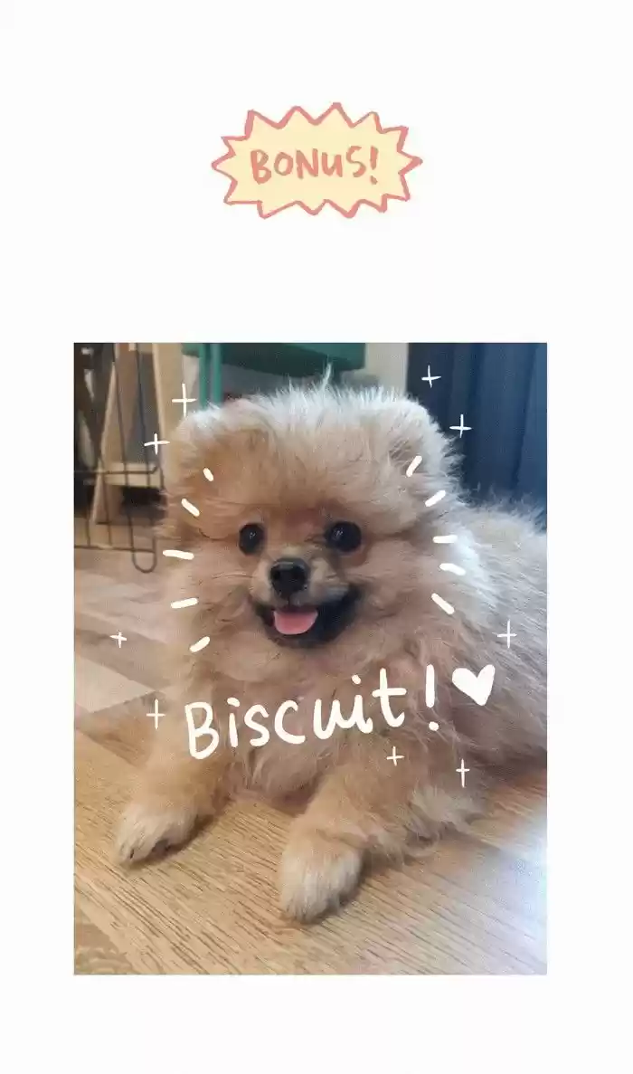 My Giant Nerd Boyfriend 200