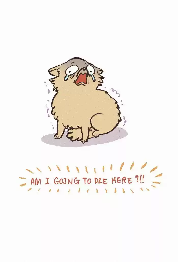 My Giant Nerd Boyfriend ch.488