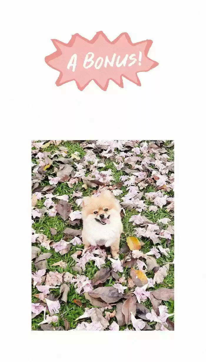 My Giant Nerd Boyfriend ch.500