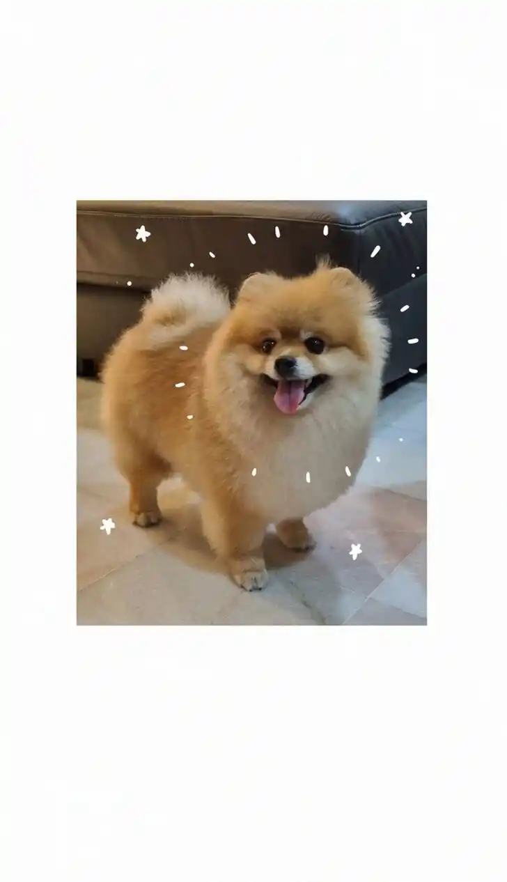 My Giant Nerd Boyfriend Ch.838