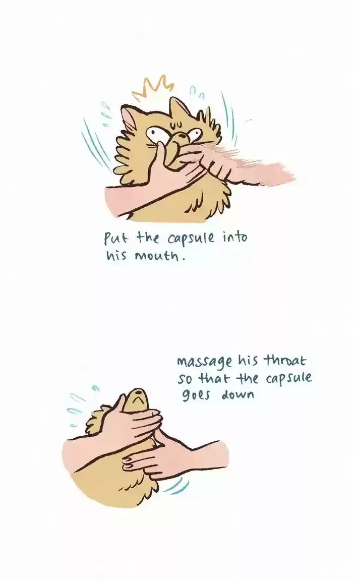 My Giant Nerd Boyfriend Chapter 326: