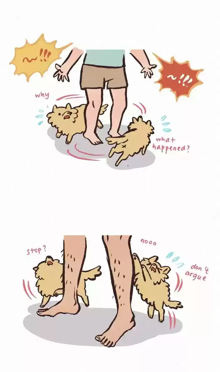 My Giant Nerd Boyfriend Chapter 349: