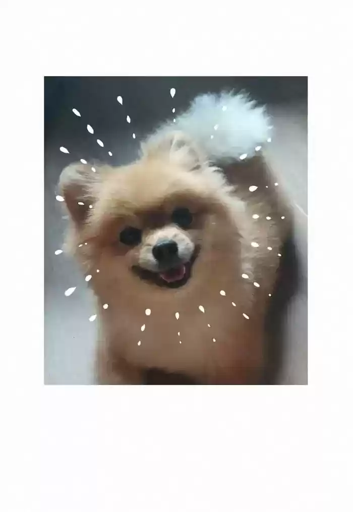 My Giant Nerd Boyfriend Chapter 400: