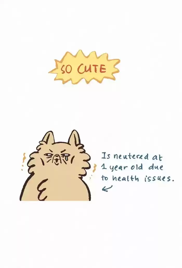 My Giant Nerd Boyfriend Chapter 412: