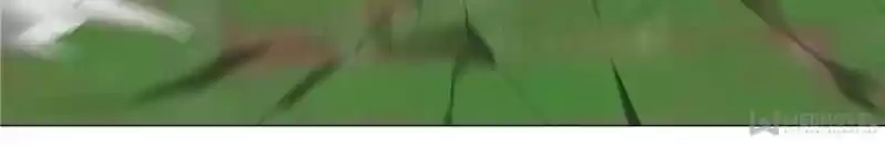 My Girl Is A Dragon Princess Chapter 115