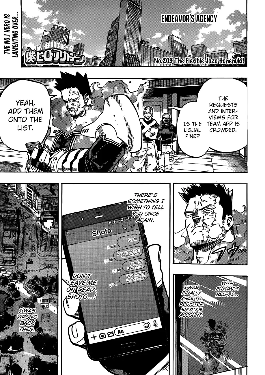 My Hero Academia 203