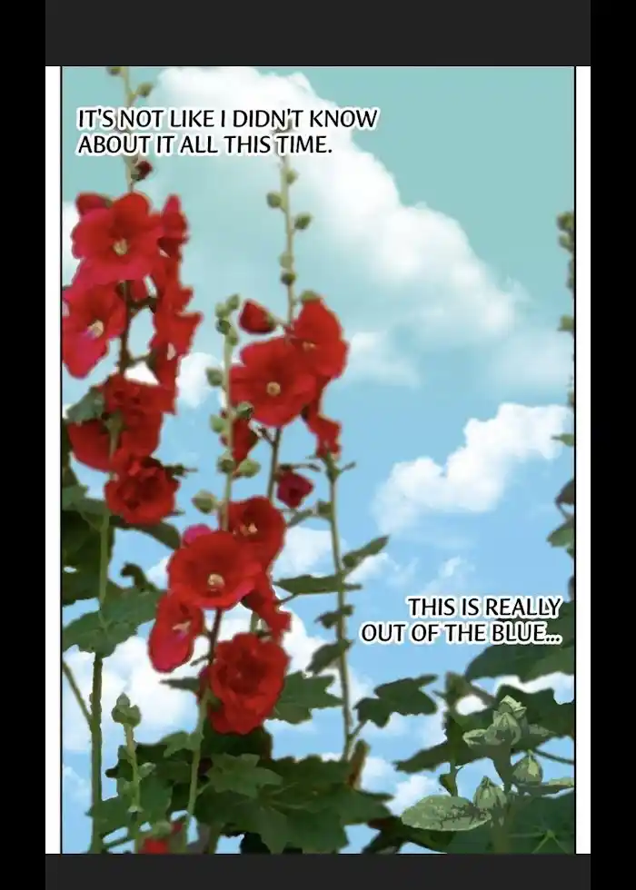 My High School Romance Chapter 18