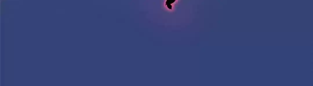 My Husband is From Comic Chapter 115