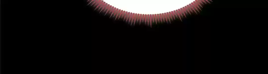 My Husband is From Comic Chapter 116