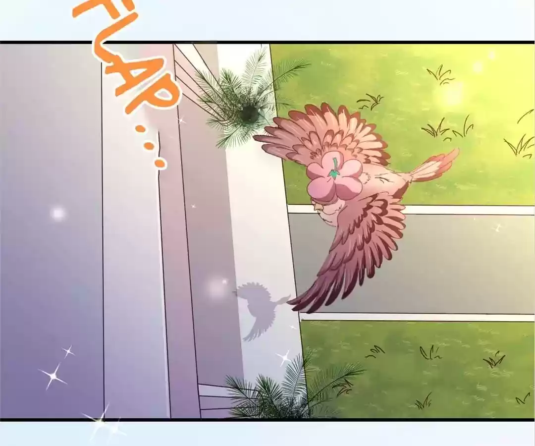 My Husband is From Comic Chapter 117