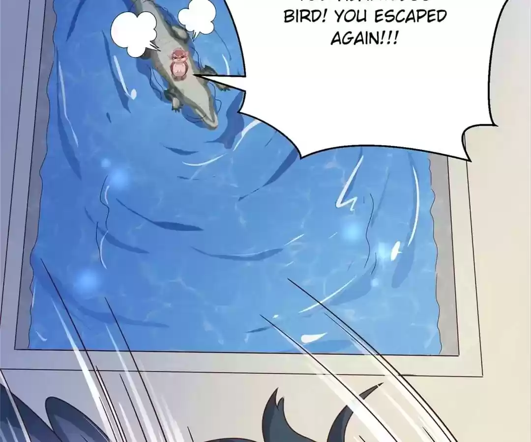 My Husband is From Comic Chapter 121