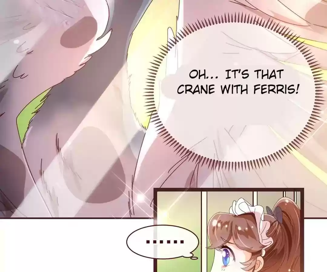 My Husband is From Comic Chapter 34