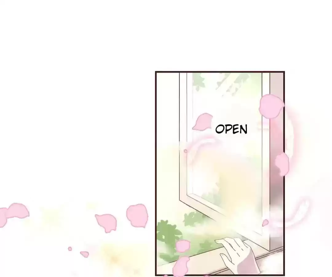 My Husband is From Comic Chapter 34