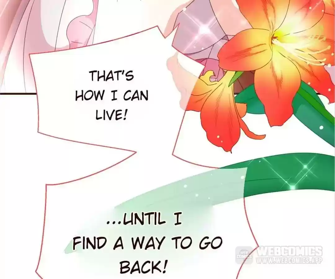 My Husband is From Comic Chapter 47