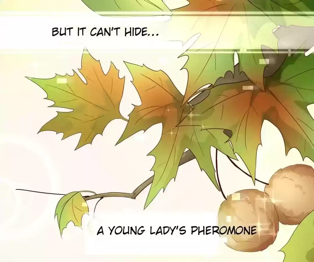 My Husband is From Comic Chapter 57