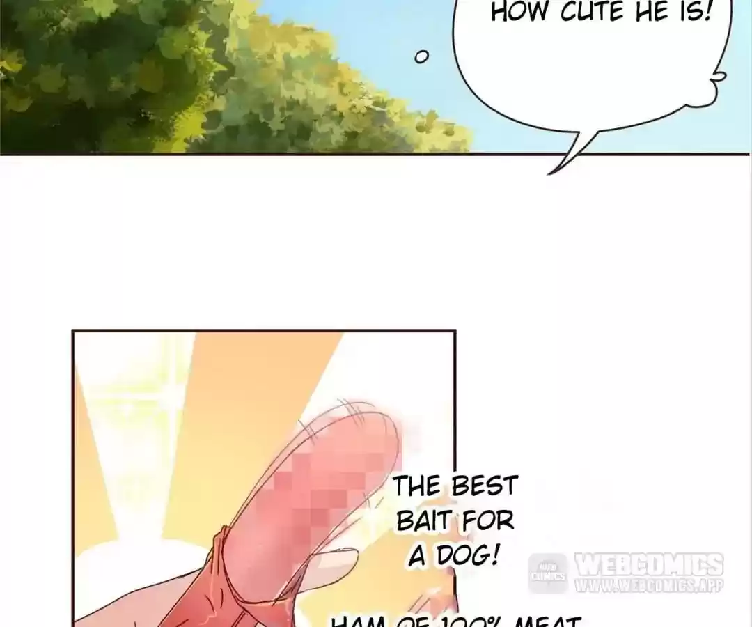 My Husband is From Comic Chapter 58