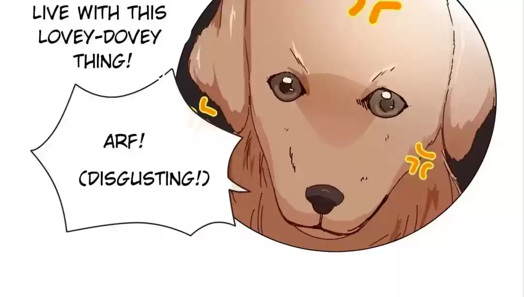 My Husband is From Comic Chapter 58