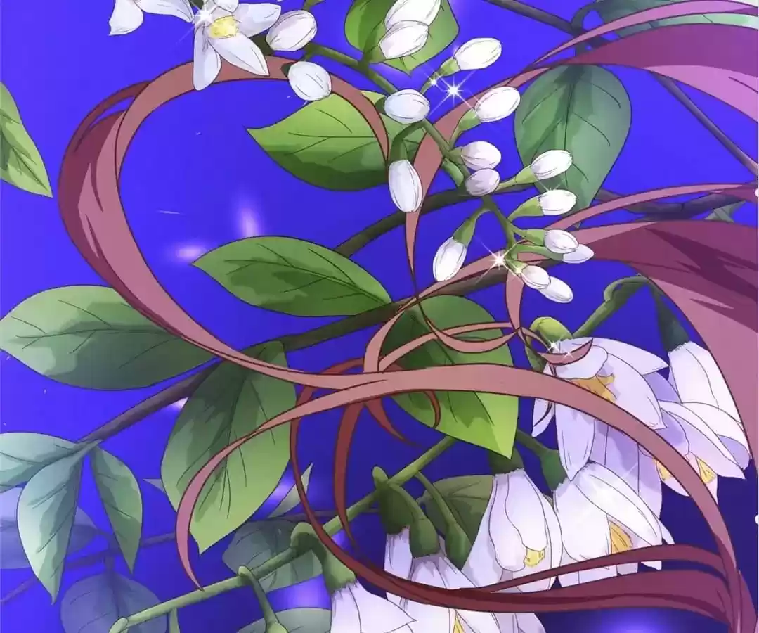 My Husband is From Comic Chapter 64