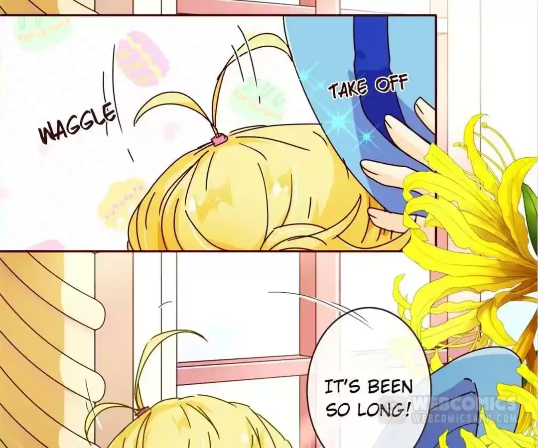 My Husband is From Comic Chapter 66