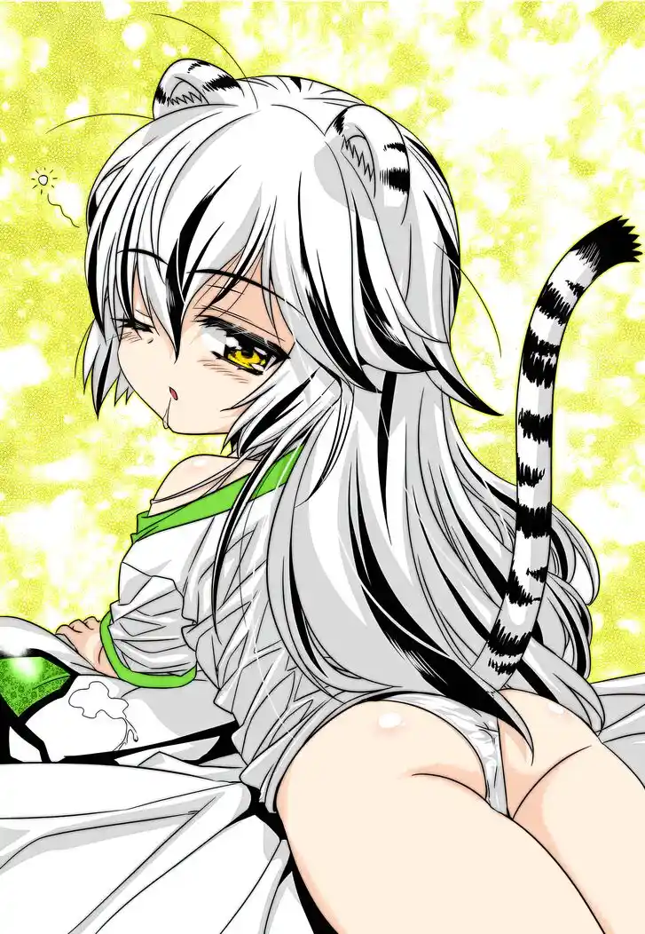 My Love Tiger Ch.259