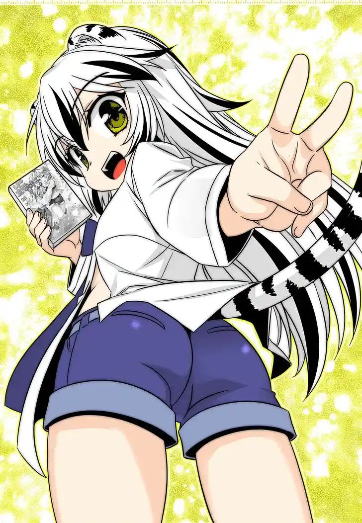 My Love Tiger Ch.264