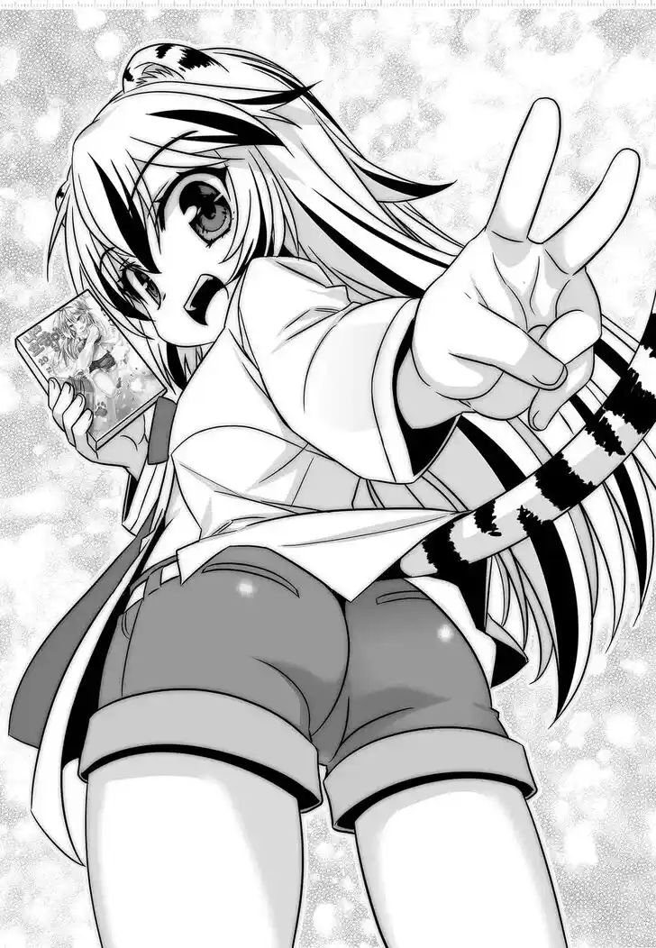 My Love Tiger Ch.264