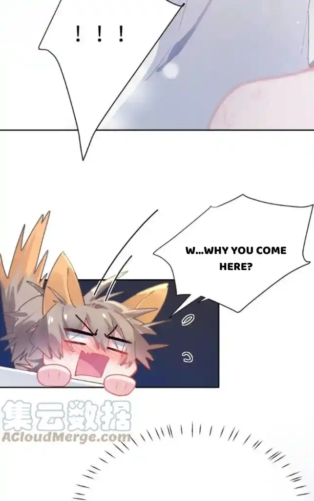 My Lover, Don’T Be Angry With Me Chapter 79