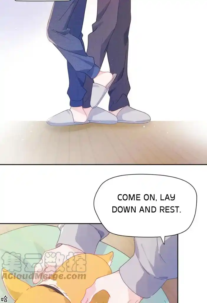 My Lover, Don’T Be Angry With Me Chapter 84