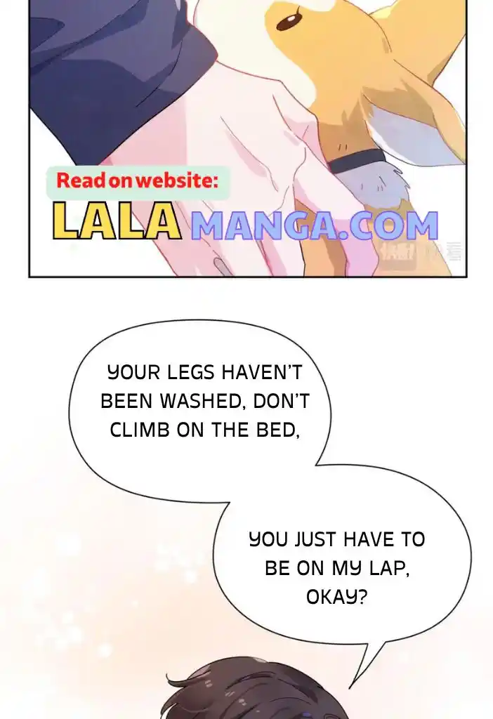 My Lover, Don’T Be Angry With Me Chapter 84