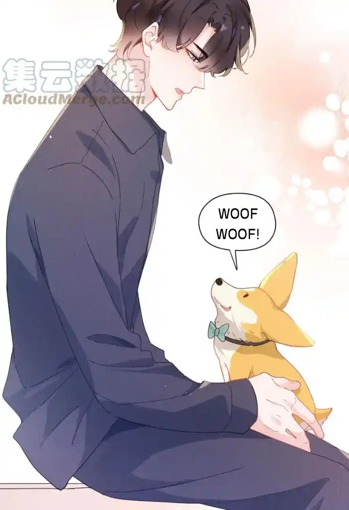 My Lover, Don’T Be Angry With Me Chapter 84