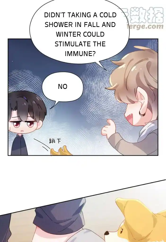 My Lover, Don’T Be Angry With Me Chapter 84