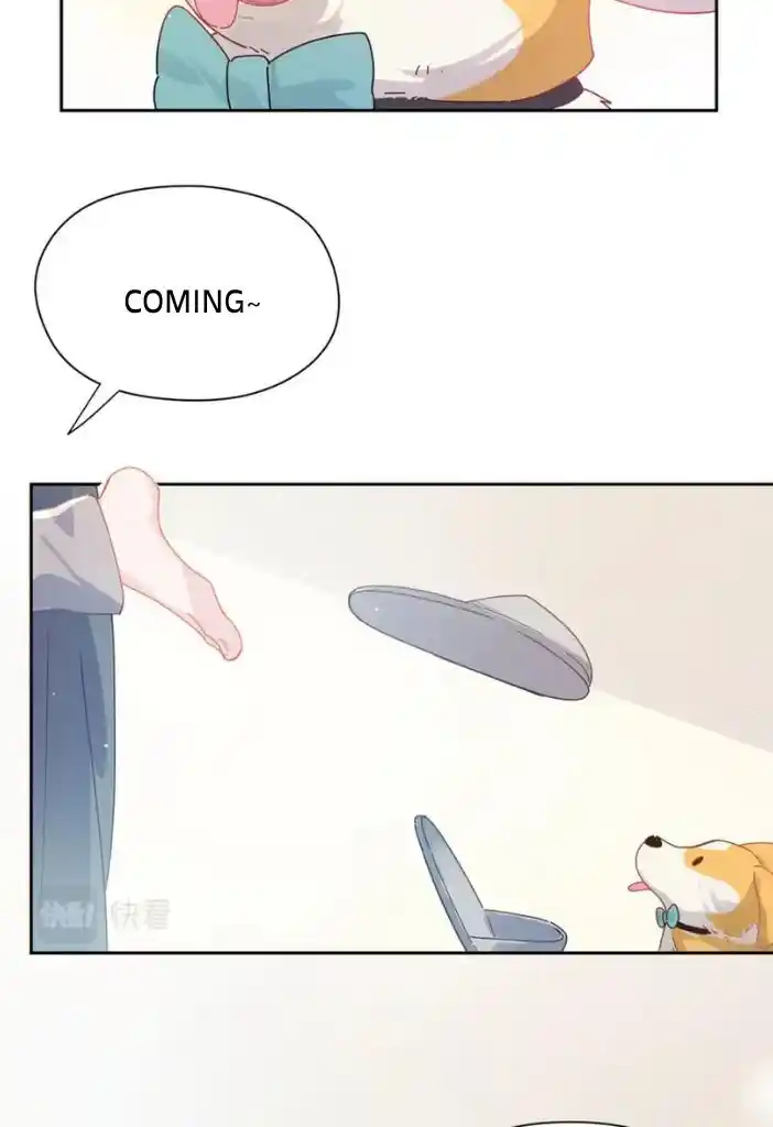 My Lover, Don’T Be Angry With Me Chapter 84