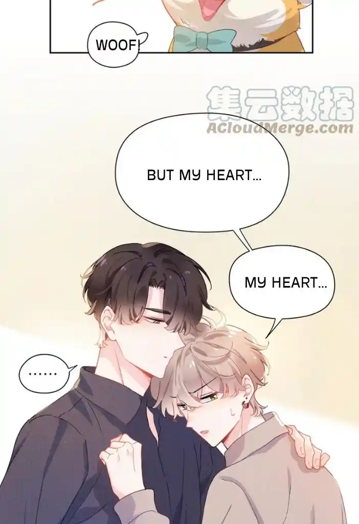My Lover, Don’T Be Angry With Me Chapter 84