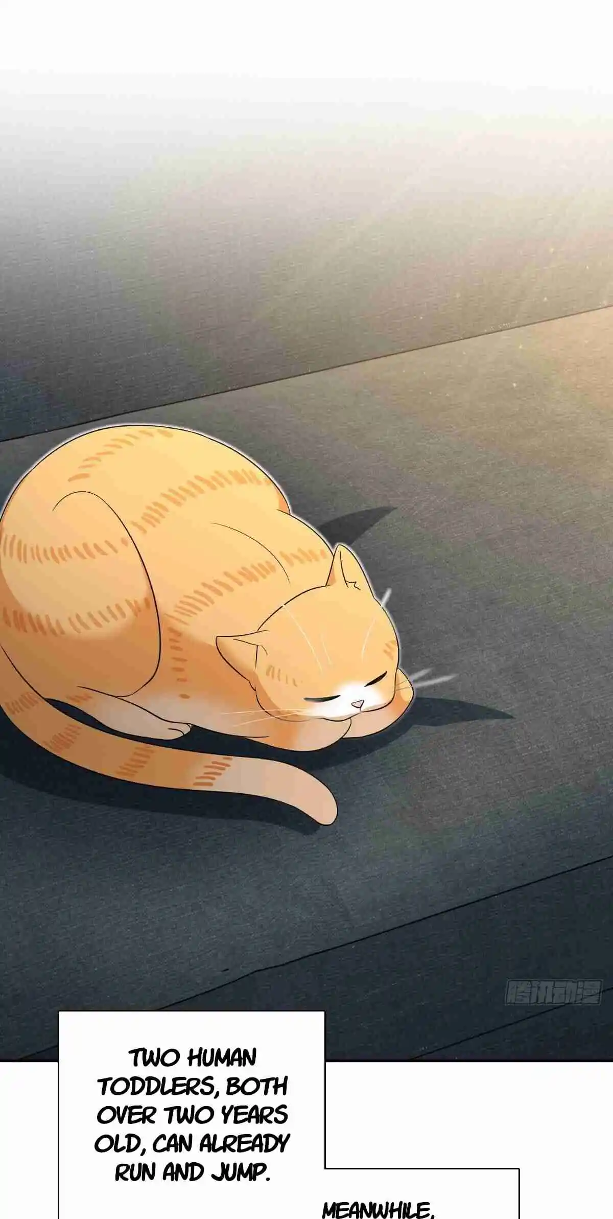 My Wife Is From a Thousand Years Ago 355