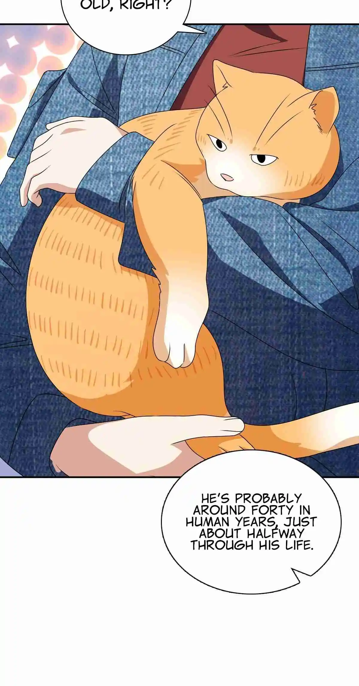 My Wife Is From a Thousand Years Ago 356