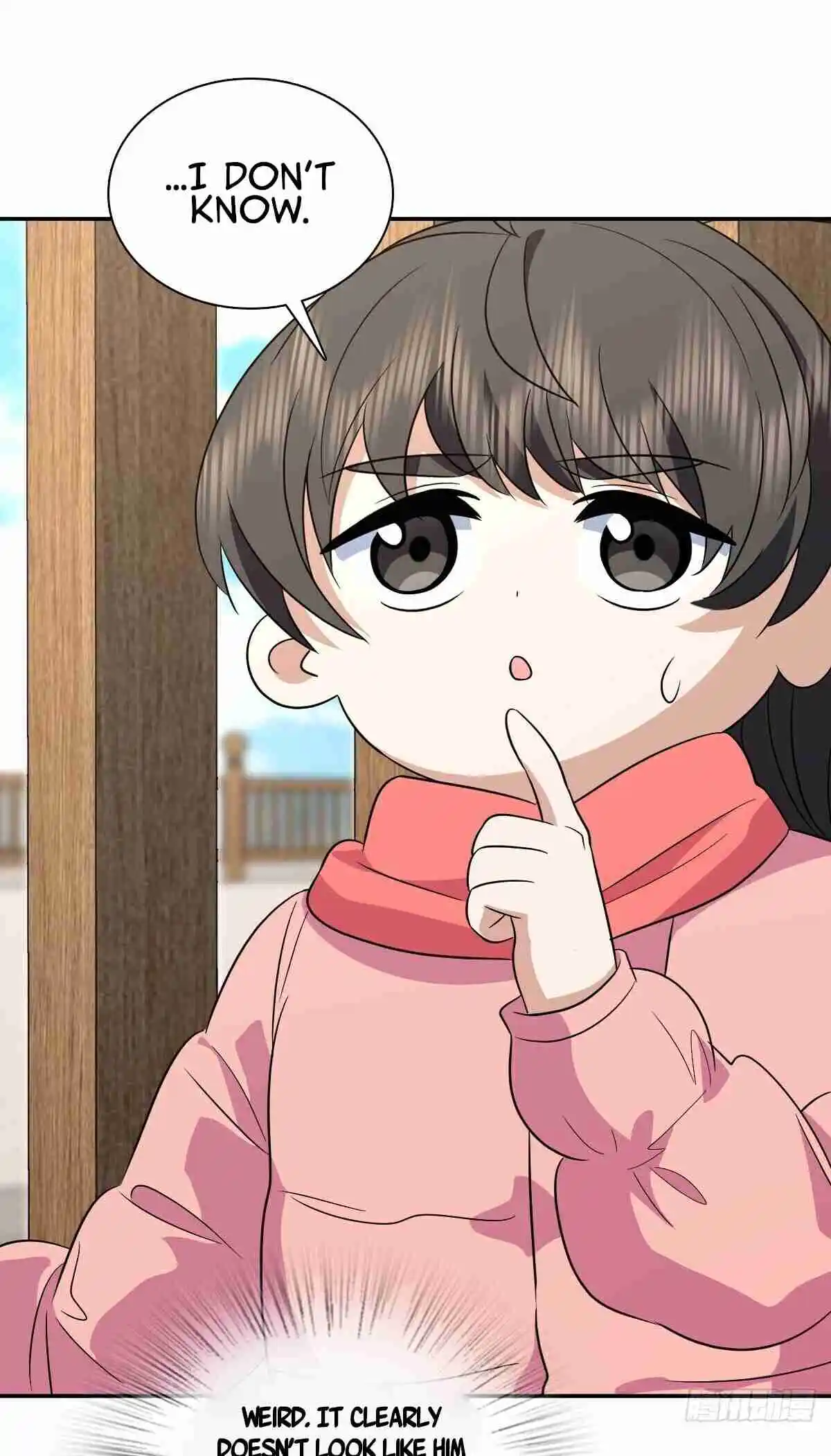 My Wife Is From a Thousand Years Ago 374