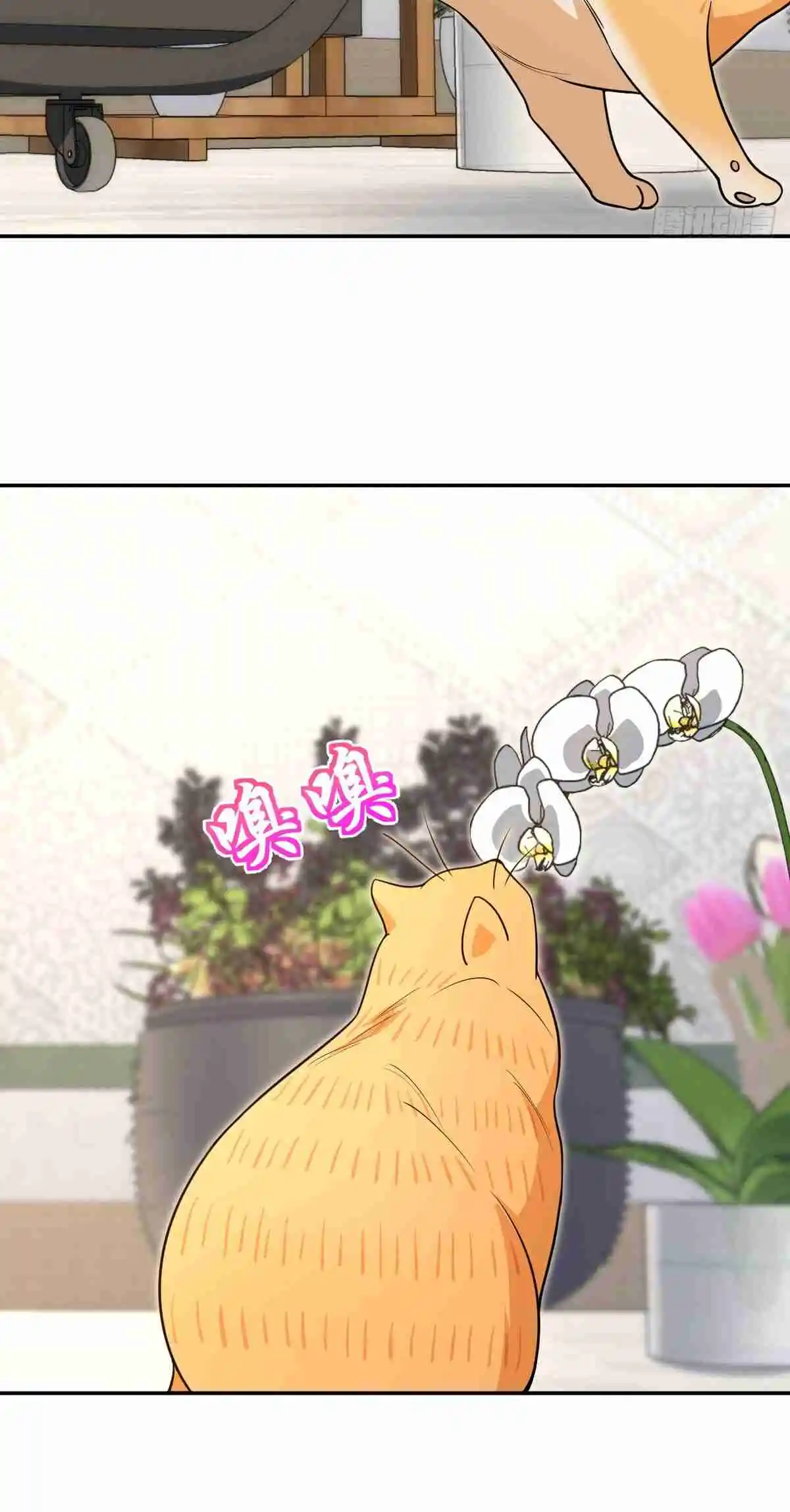 My Wife Is From a Thousand Years Ago 380